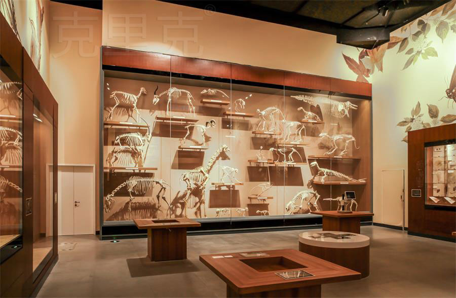 博物館高展柜尺寸設計標準 博物館高展柜尺寸設計標準