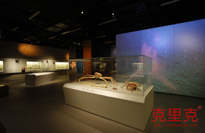 博物館桌式展柜尺寸設計標準 博物館桌式展柜尺寸設計標準